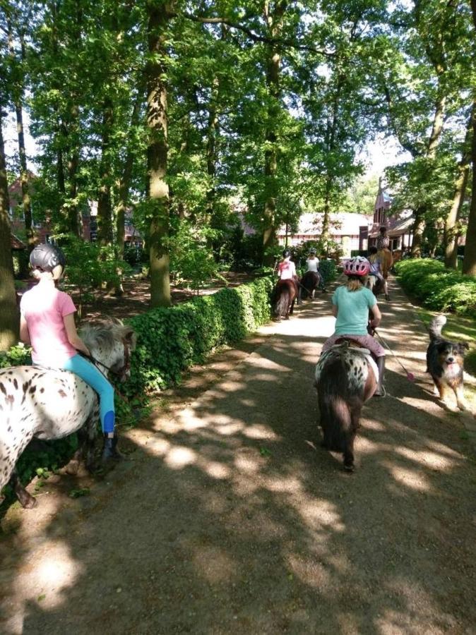 Grosse Ferienwohnung, Auf Bauernhof Mit Ponys Und Pferden, Laendlich Und Ruhig, Naehe Duemmer See Holdorf Exterior photo